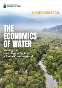 image: The water crisis puts at risk more than half of the world’s food production by 2050. It also threatens an 8% loss of GDP in countrie