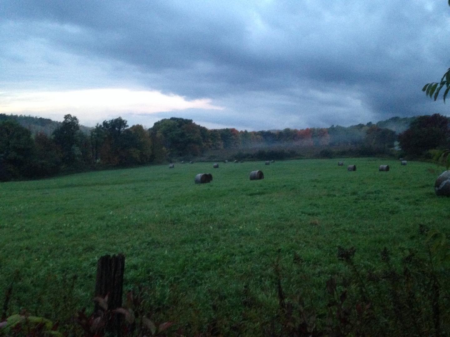 Mixed farming methods could reduce US emissions and increase productivity