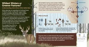 White-tail deer expanding range