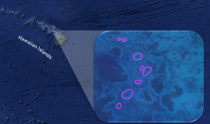 Reef halo around Hawaiian Islands