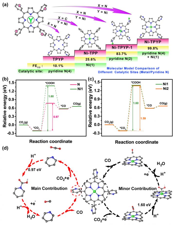 Stable supramolecular structure system to identify activity origin of CO2 electroreduction