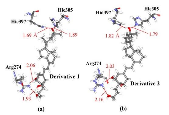 Hydrogen Bonding Interactions between Vitamin-D Derivatives and Amino Acid Residues in VDR