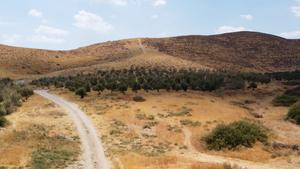 Jordan Valley where Birulatus israelensis and Nannowithius wahrmani  were found