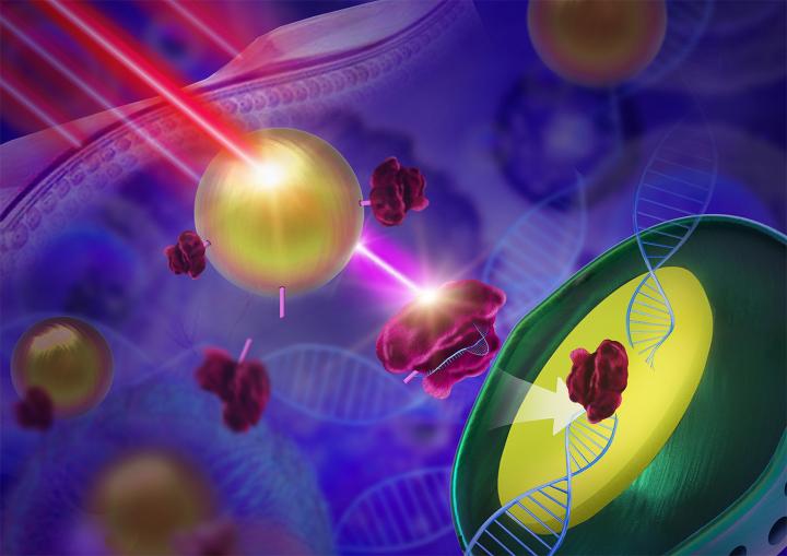 Light Activation Allows Remote Control of Gene Editing (1 of 1)