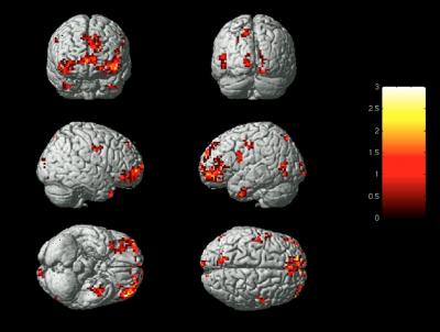 Identifying Emotions Based on Brain Activity