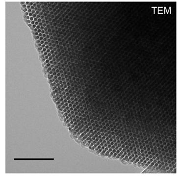 TEM Photo of the Material