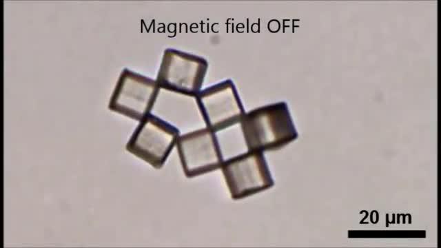 A 'Magnetic Edge' Allows Tiny Cubes to Self-Assemble On Demand (5 of 10)