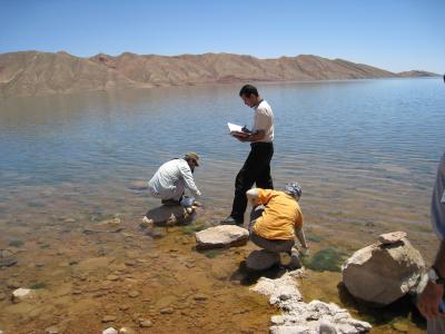 Surface Waters Diverted for Irrigation