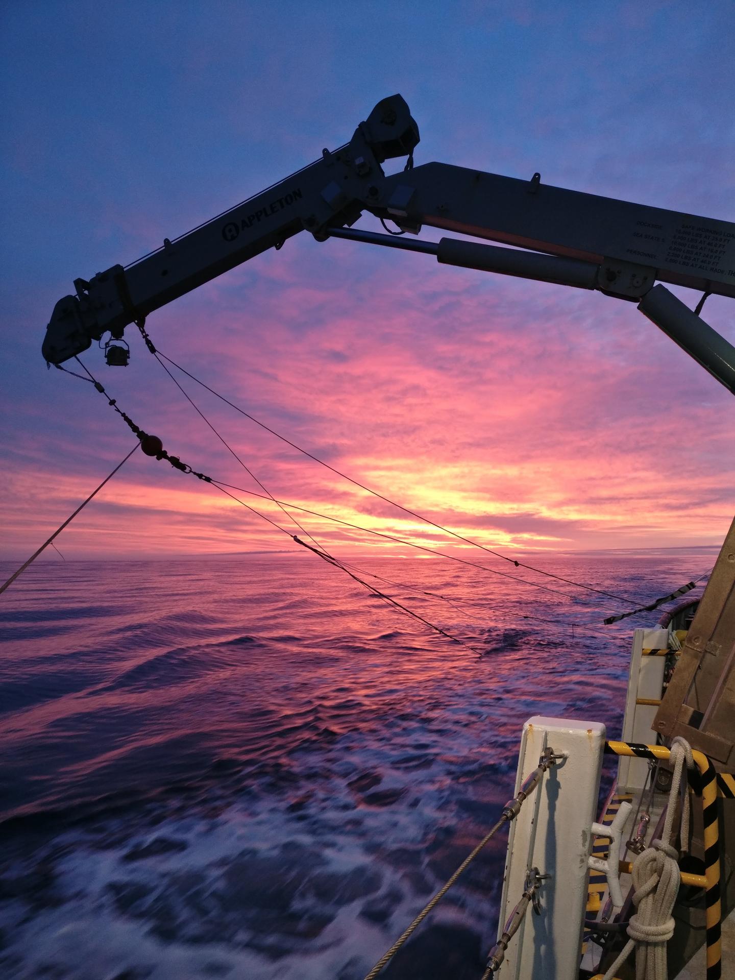 Measuring Nitrogen Fixation at Sea