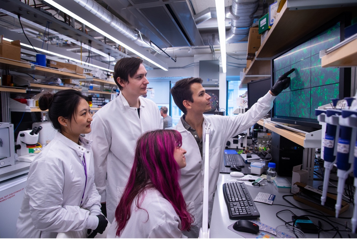 Research team studying the engineered T cells