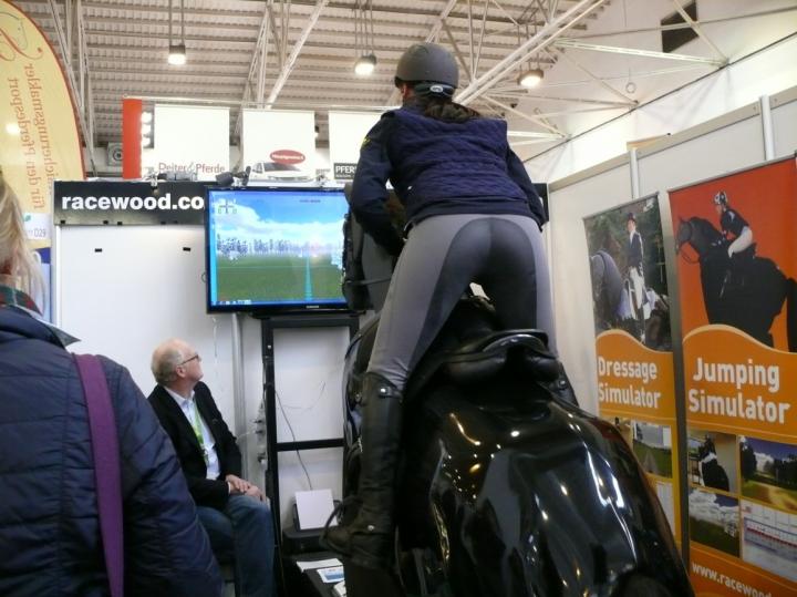 Riding Simulator