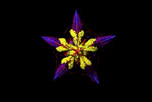 Micro-CT scan of sea star