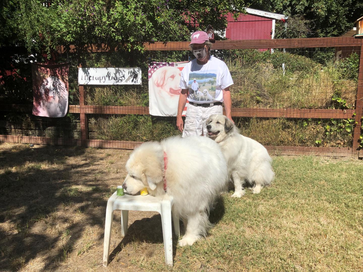 Tommy Dickey, PhD, demonstrates canine scent detection training