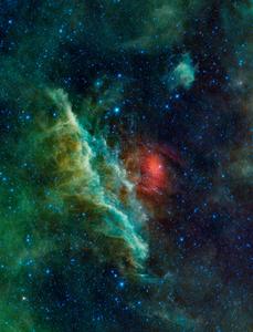 WISE View of California Nebula