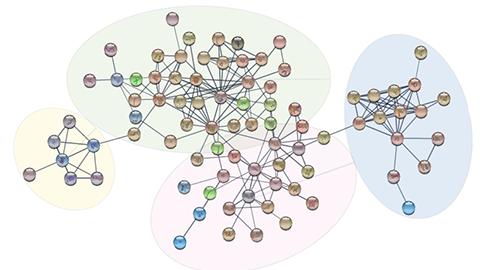 Transcription Factors in Th17 Cell Proteome