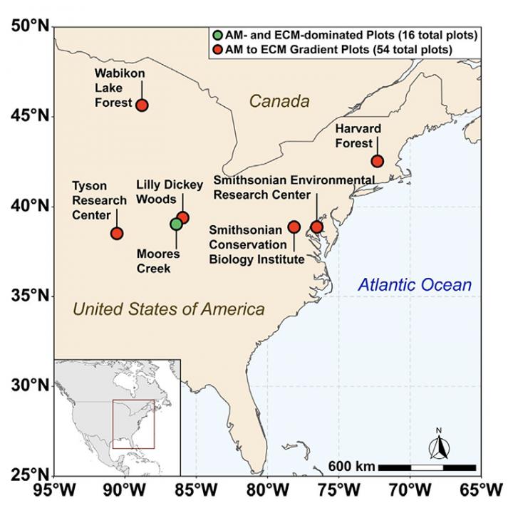 Soil sampling location map