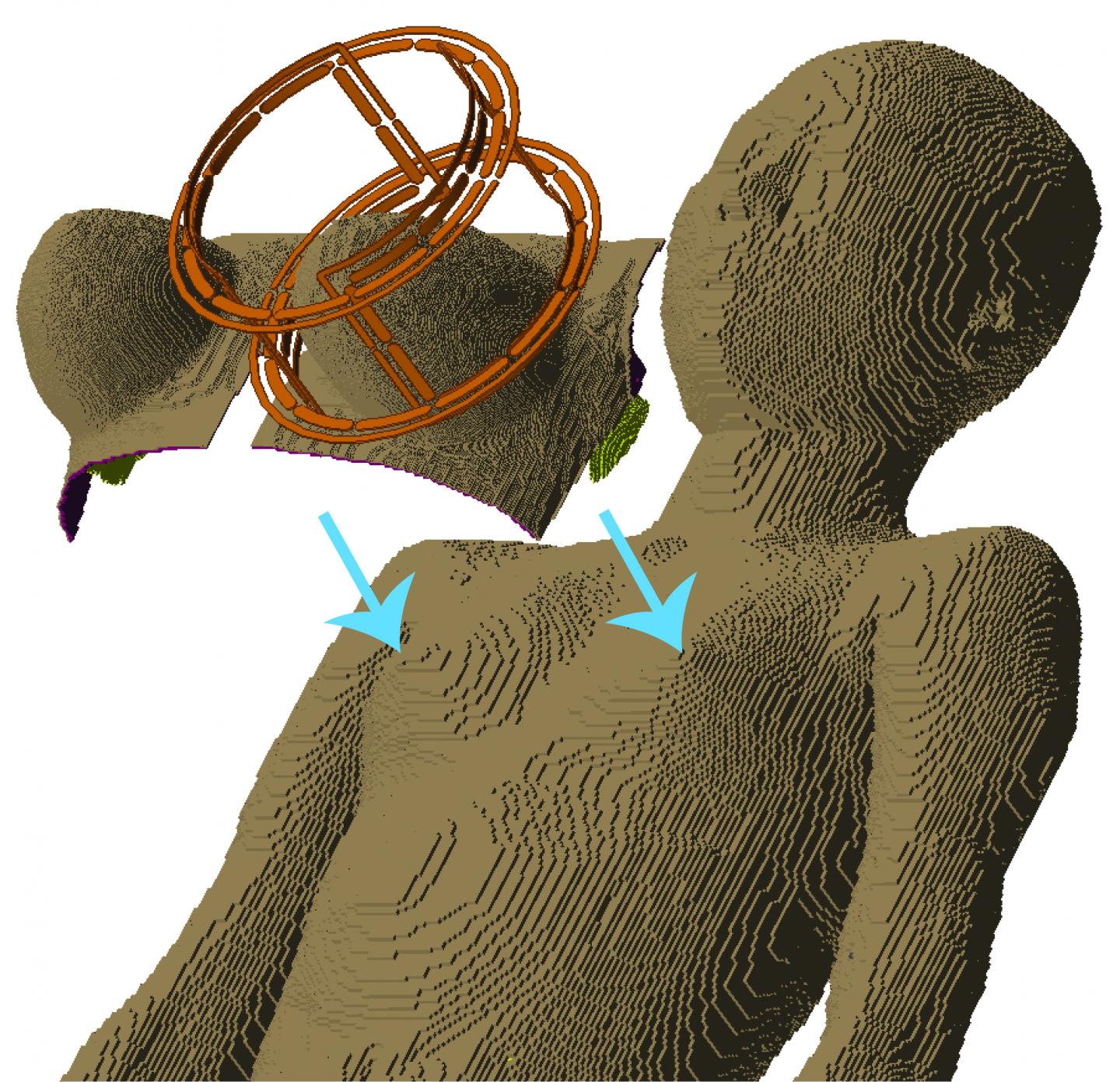 Computer Model of a Full-Body Female