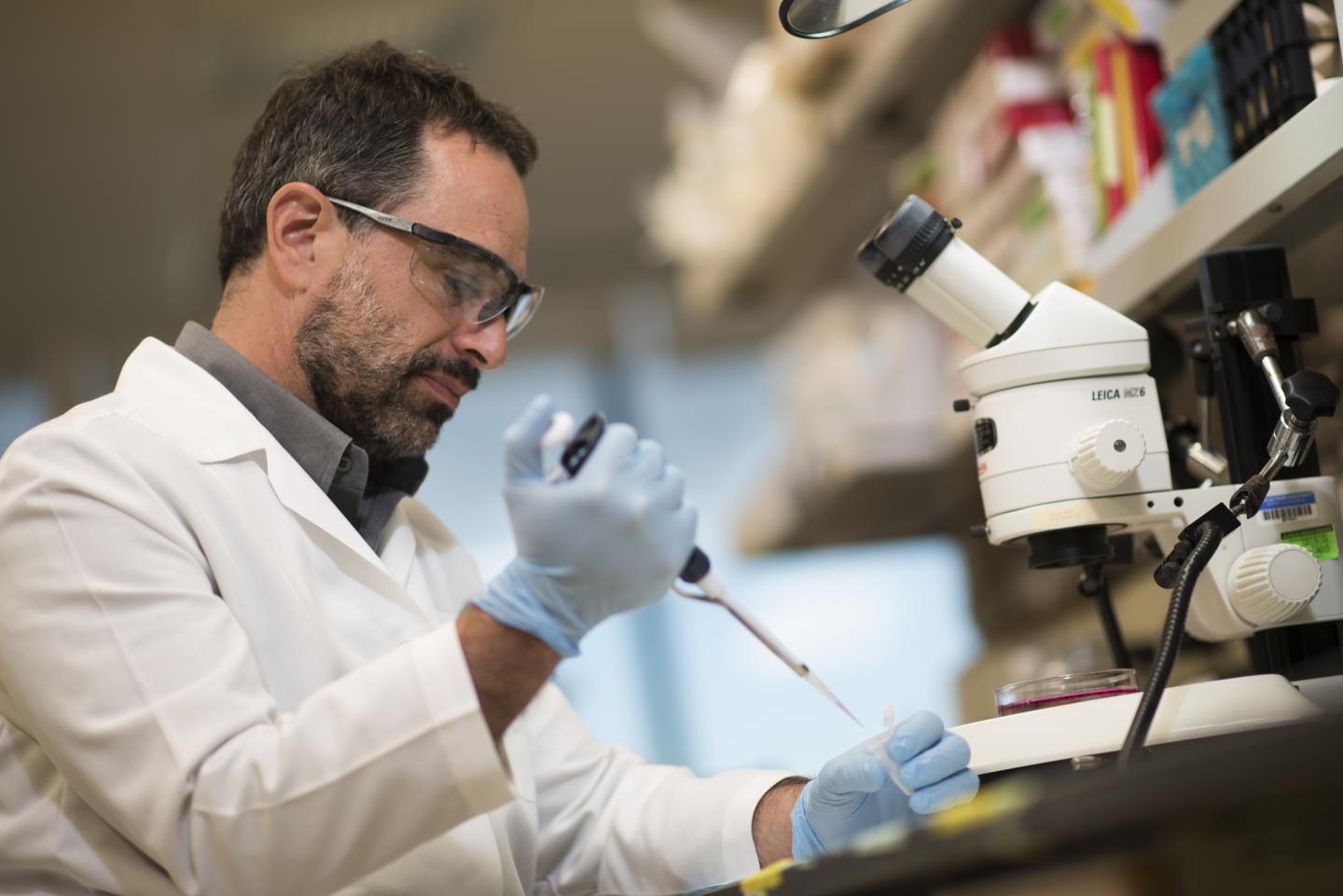 Joshua G. Corbin, Children's National Health System