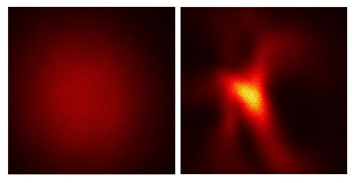 Light distribution data