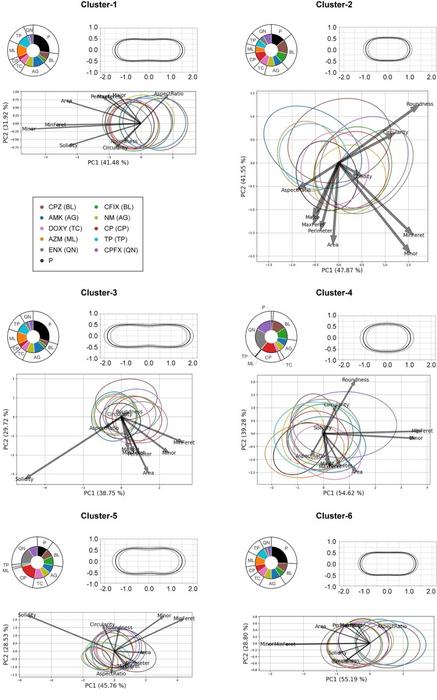 Fig. 2  The results of k-means clustering and principal component analysis (PCA) of each cluster.