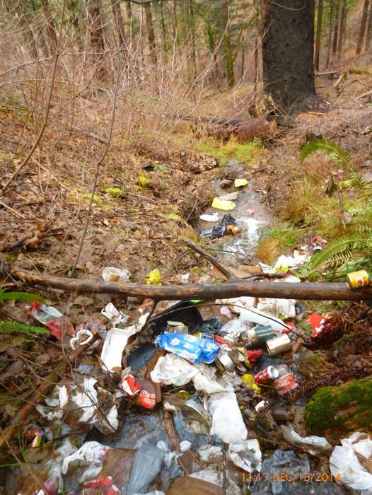 Trash in a stream image eurekalert science news releases