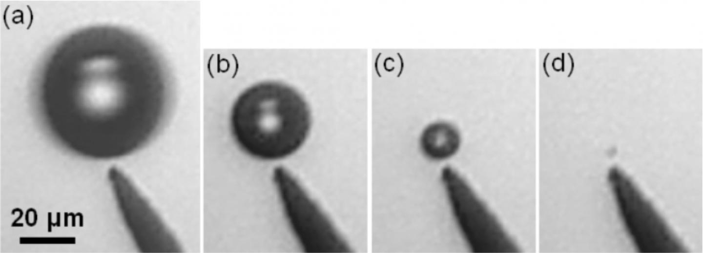 Immobilized Bubble, Slowly Decreasing with Time