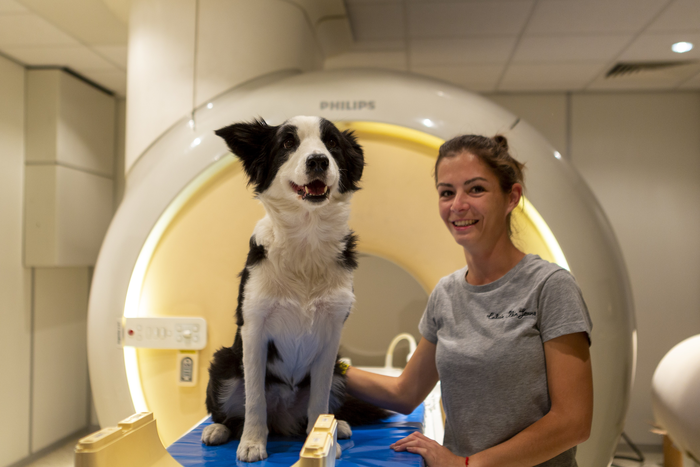 Dog in fMRI with trainer [IMAGE] | EurekAlert! Science News Releases