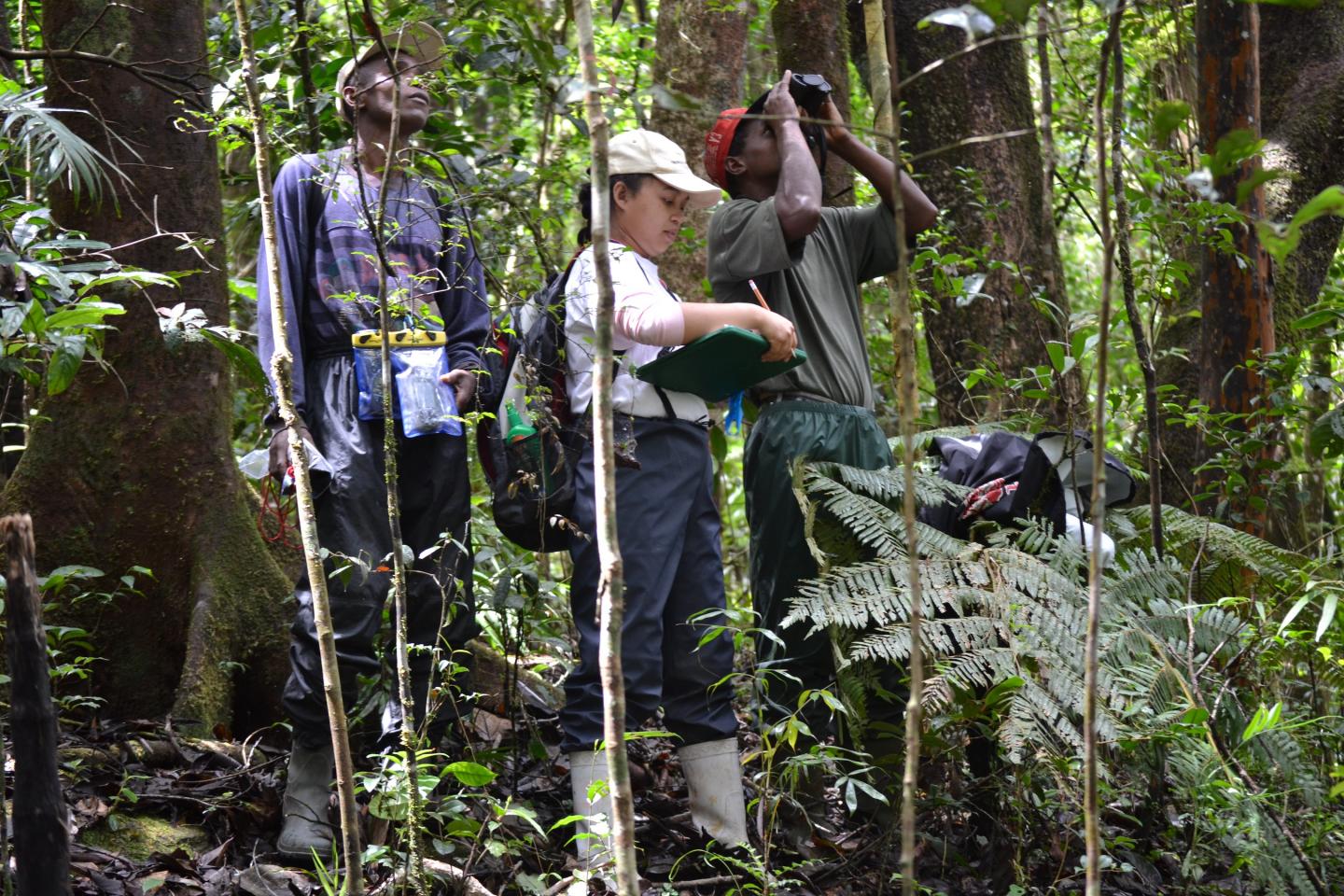 Taking Data, Madagascar