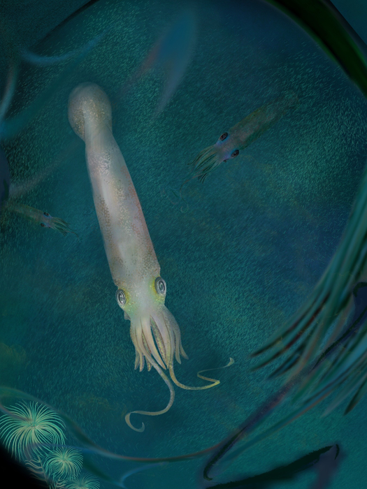 Vampyropod reconstruction