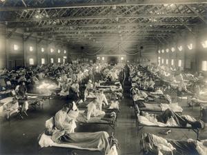 1918 influenza pandemic