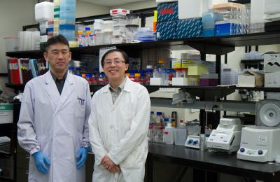 Kenneth Kai-Sing Ng and Tomohiko Murase, University of Calgary 