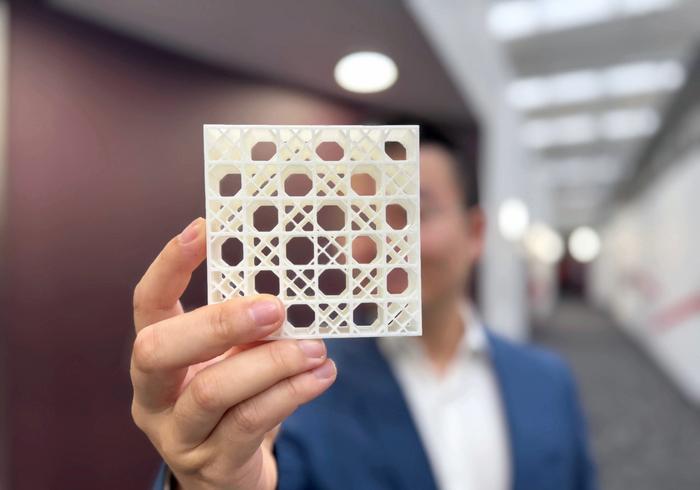 Dr Jiaming Ma holds a 3D-printed model of the team's double lattice design. Credit: RMIT University