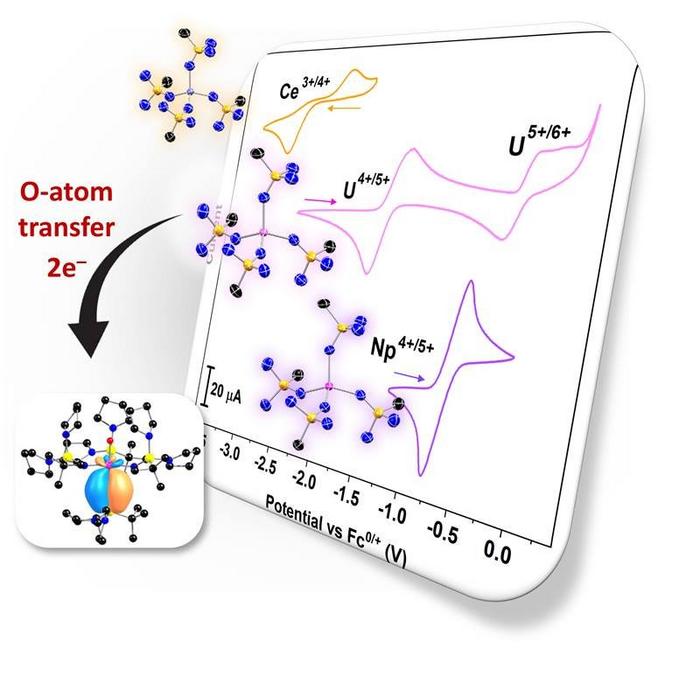 To Study Radioactive Neptunium and Plutonium, Researchers Establish a Novel Chemistry