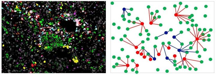 Assembly within the Tumor Center