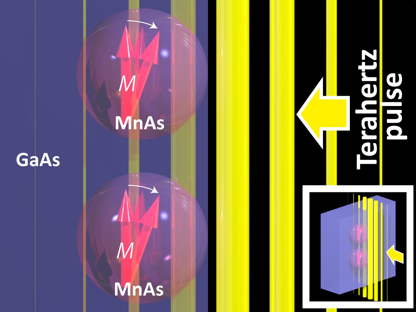 Terahertz Pulses