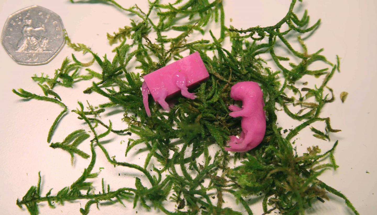 Silicone Molded Pup Dummies