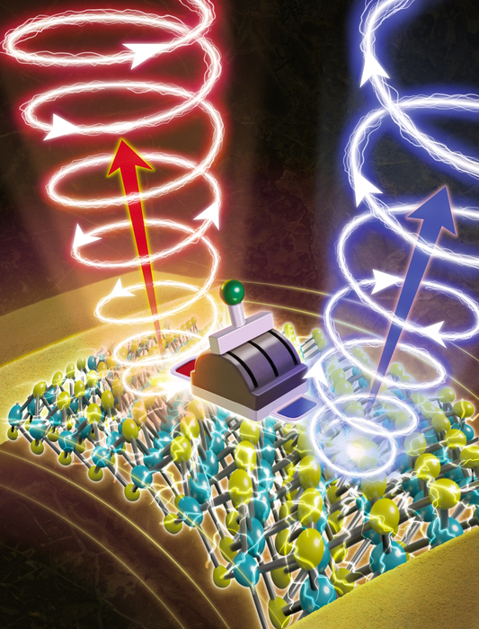 Light does the twist for quantum computing