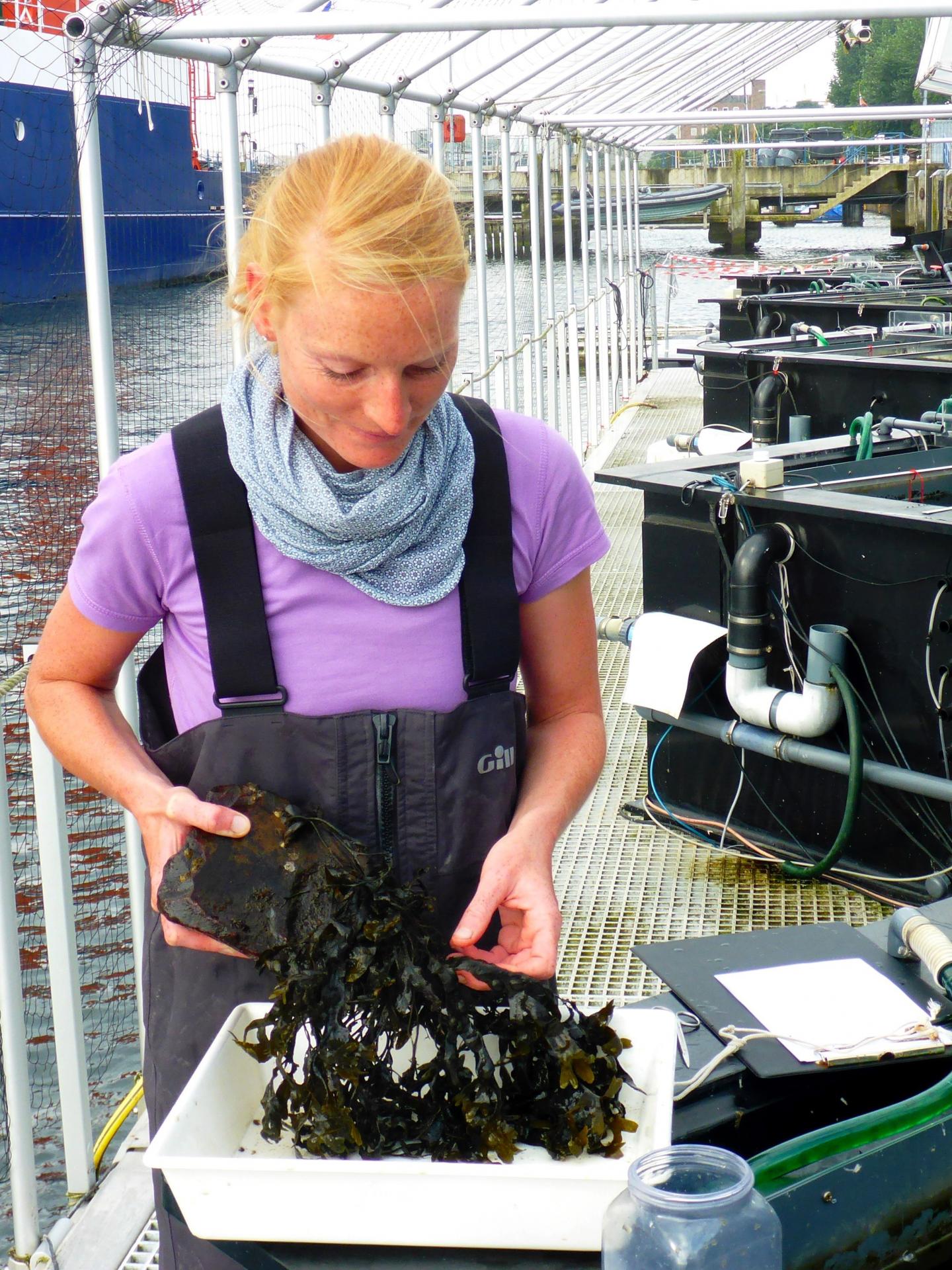 Dr. Franziska Werner