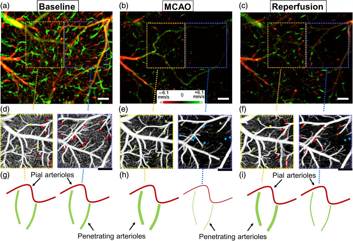 Comparison between Regions