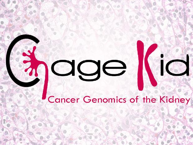 CAGEKID: Cancer Genomics of the Kidney