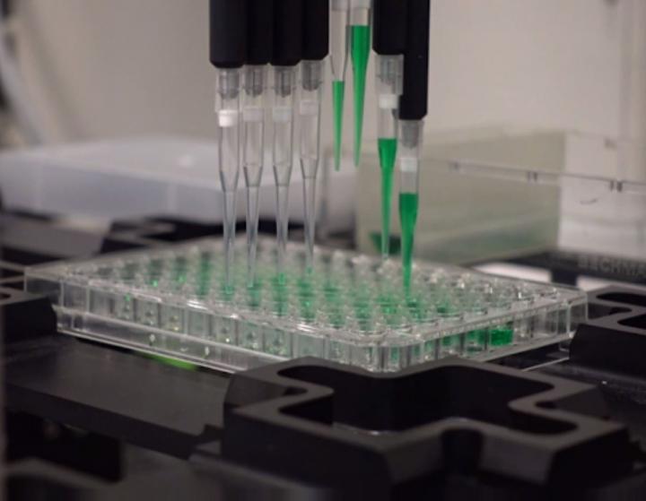 High-Throughput Screening of Antimicrobials