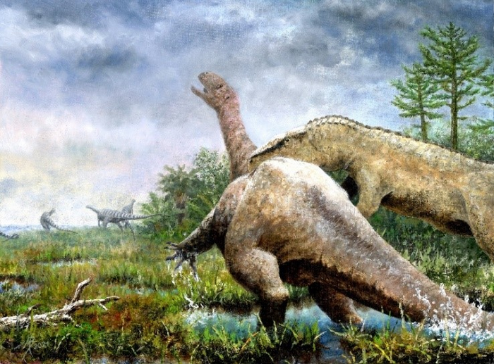 Reconstruction of the possible death of the studied specimen
