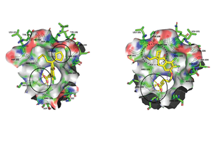 Diabetes, metabolic syndrome in mice treated with novel class of compounds