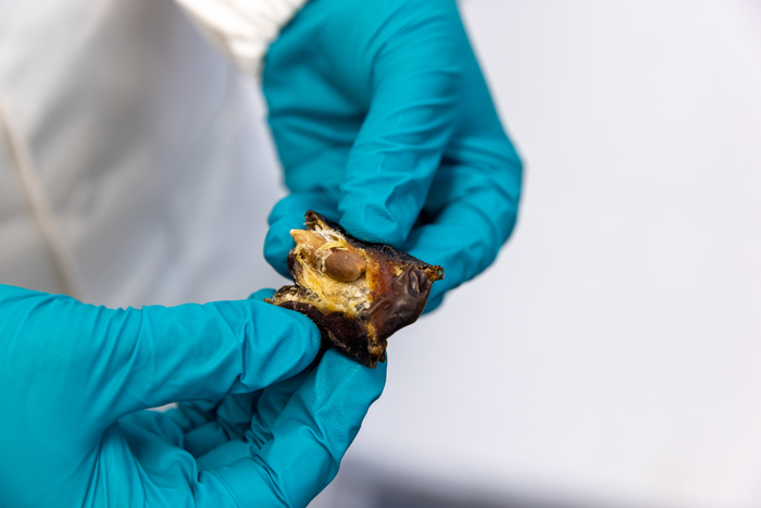 A date for greener membranes