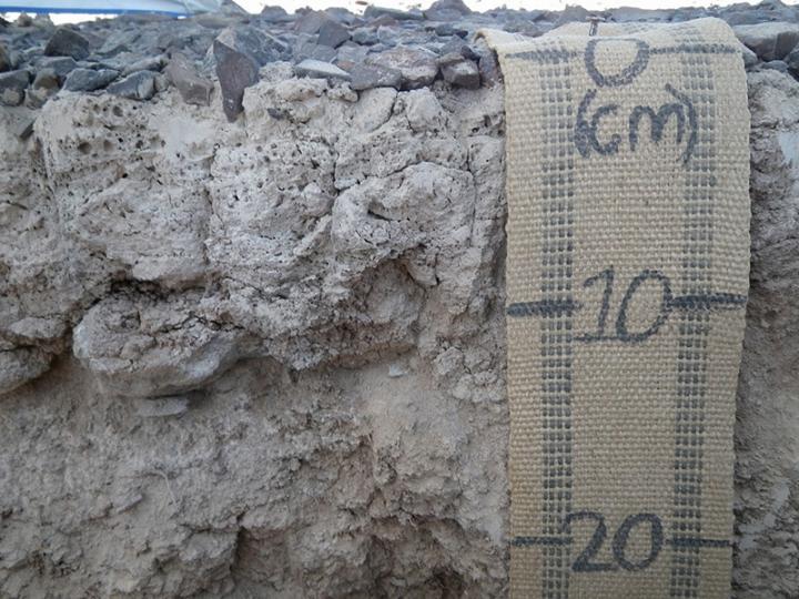 Soil Profile