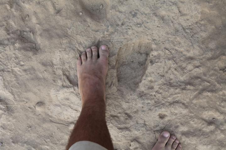 Fossil and Modern Footprints