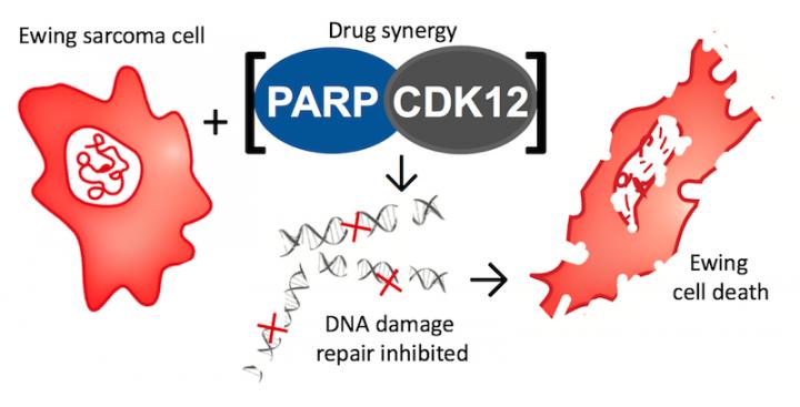 Ewing Cell Death Infographic