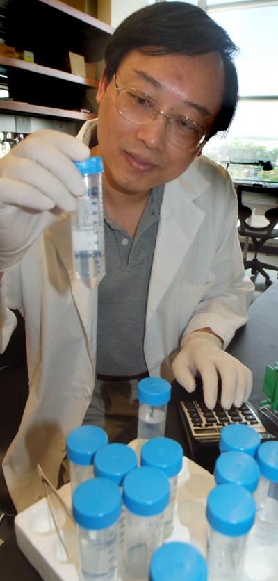 Yonghua Yang, Medical College of Georgia Cancer Center 1 (of 2)