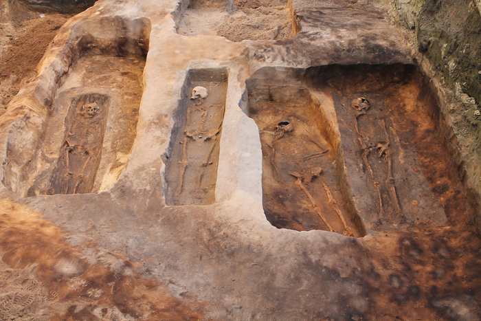 Researchers document evolution of plague over hundreds of years in medieval Denmark