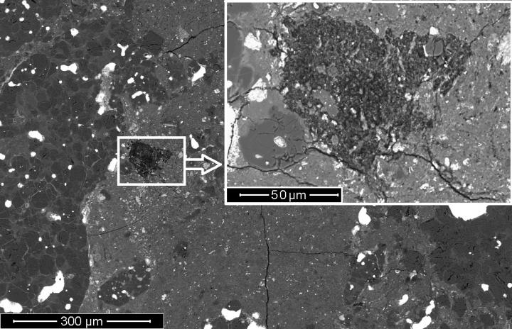 Section of the carbonaceous chondrite La-Paz 02342 and extension of the cometary clast